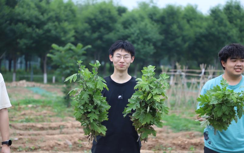 涵养身心