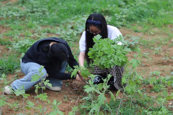 美育熏陶与心理健康关怀有机融合