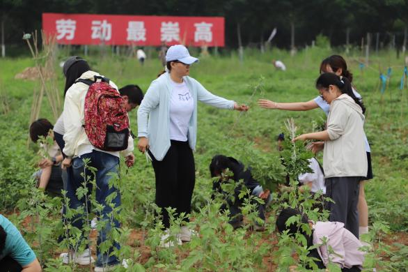 对照阅读其实本次活动将劳动星空官网登